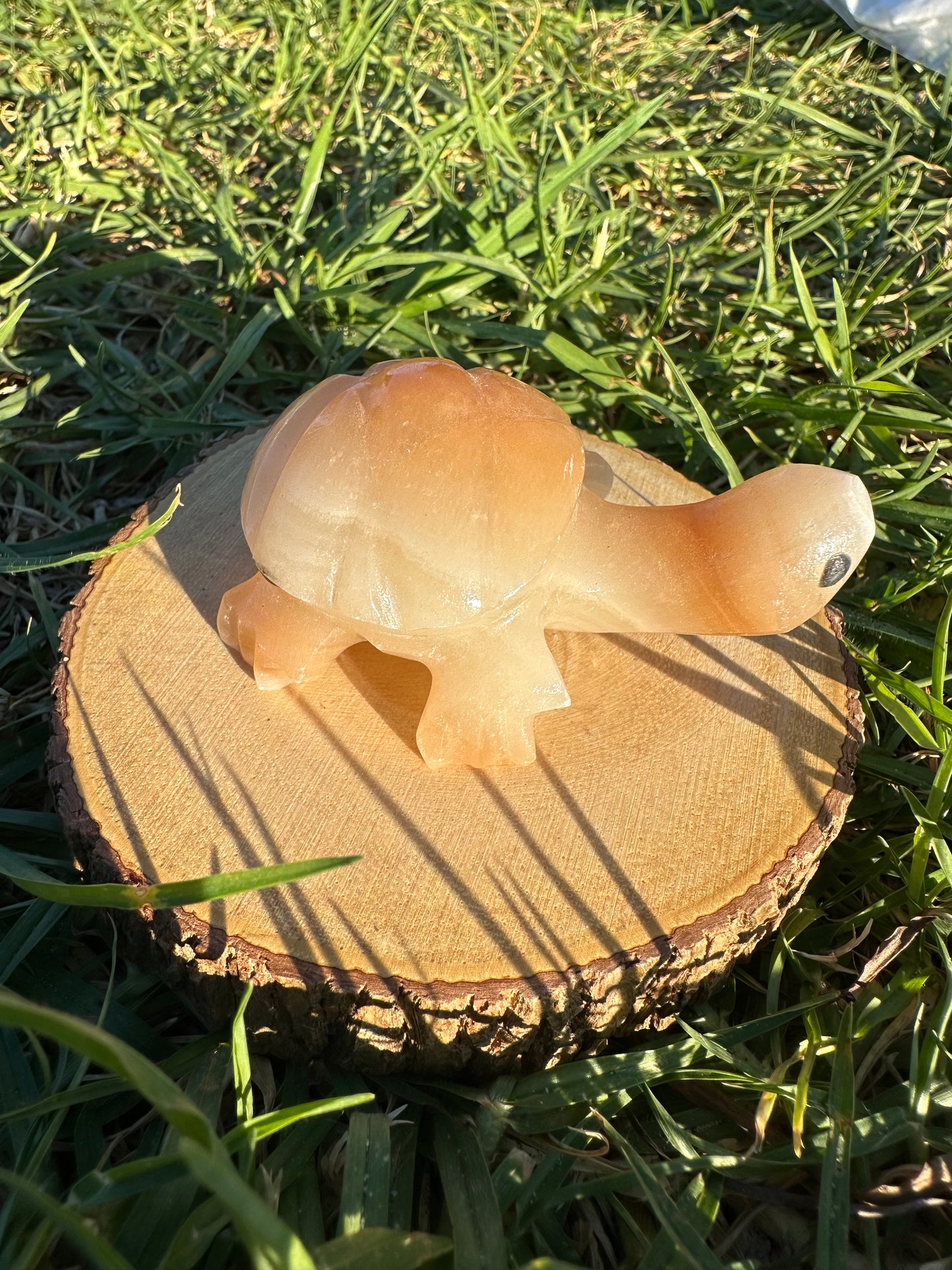 Enchanting Agate Turtles