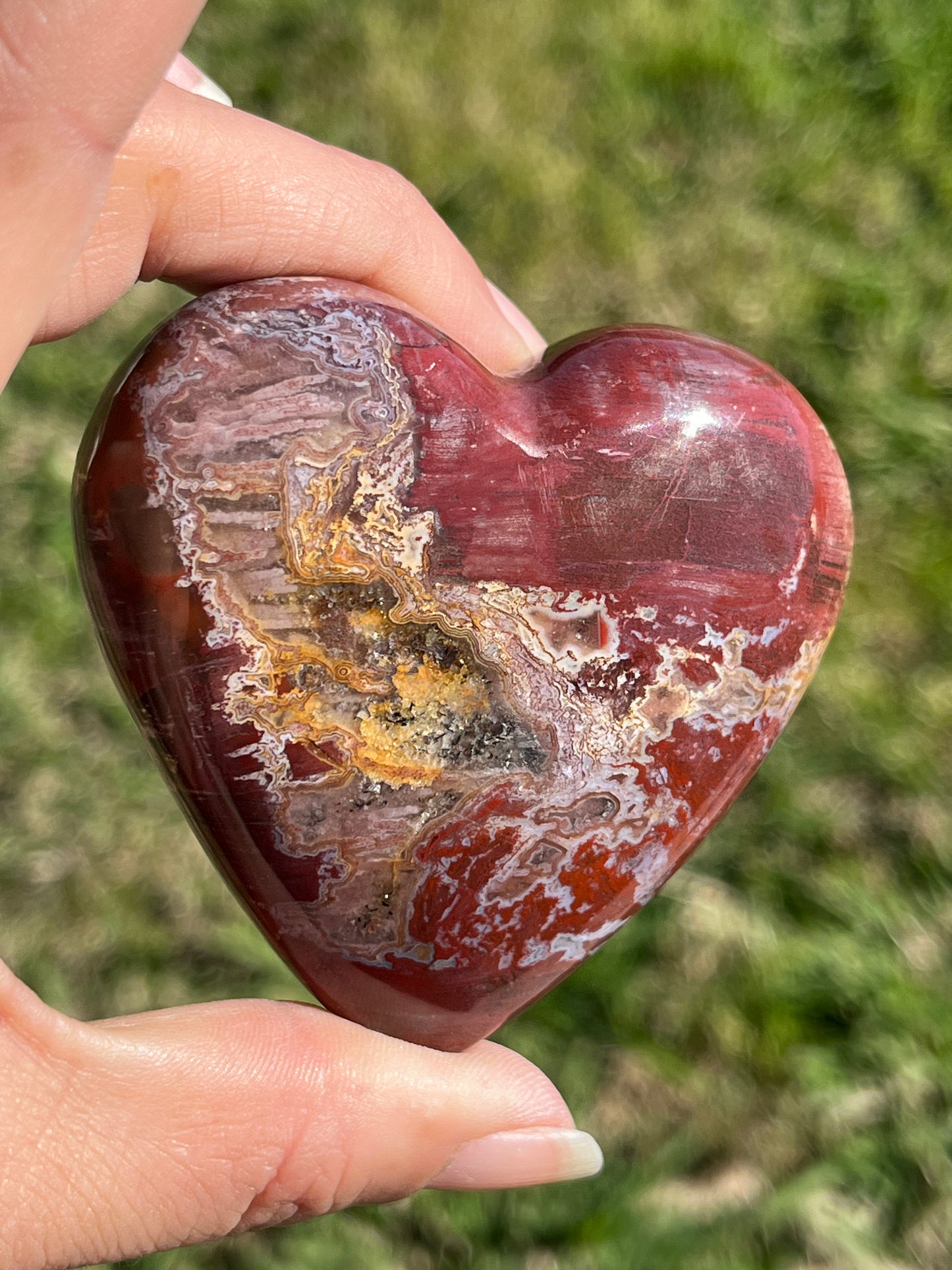 Petrified Wood Heart