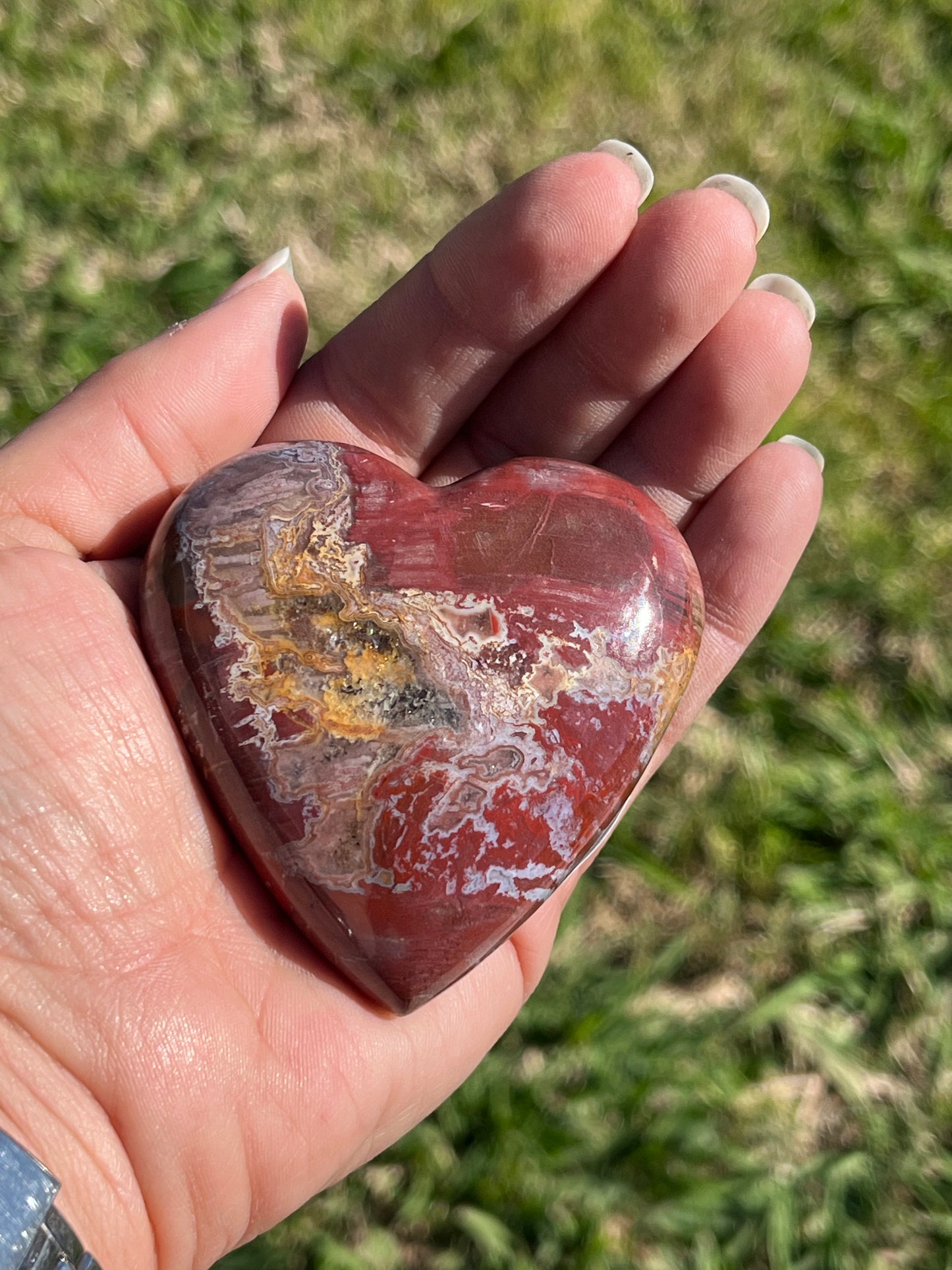 Petrified Wood Heart