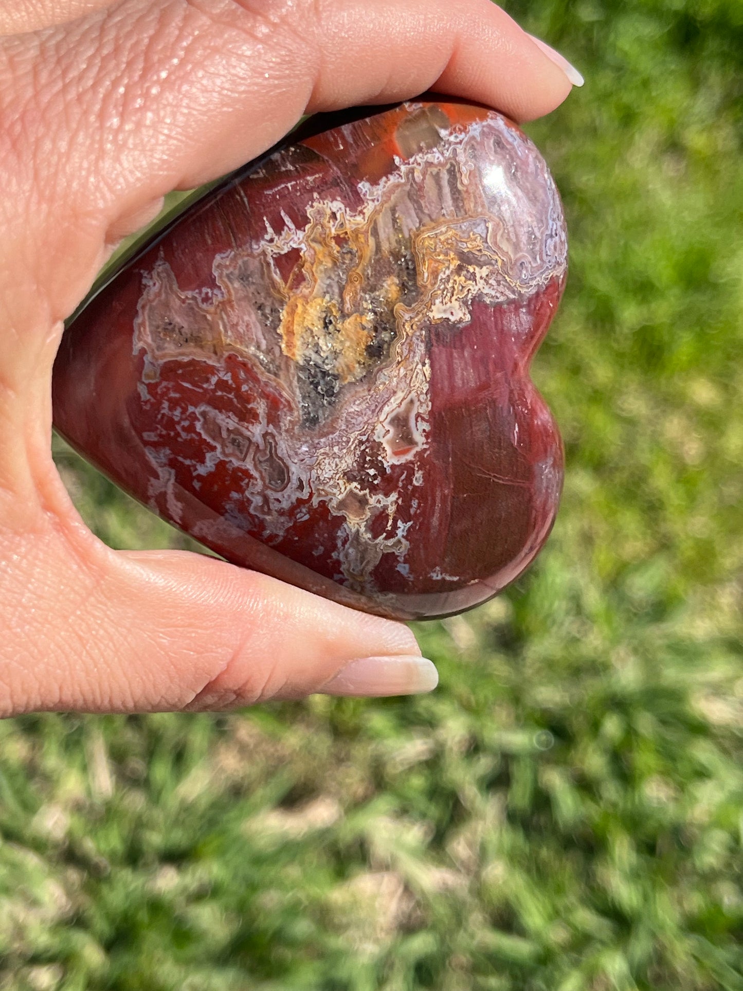 Petrified Wood Heart