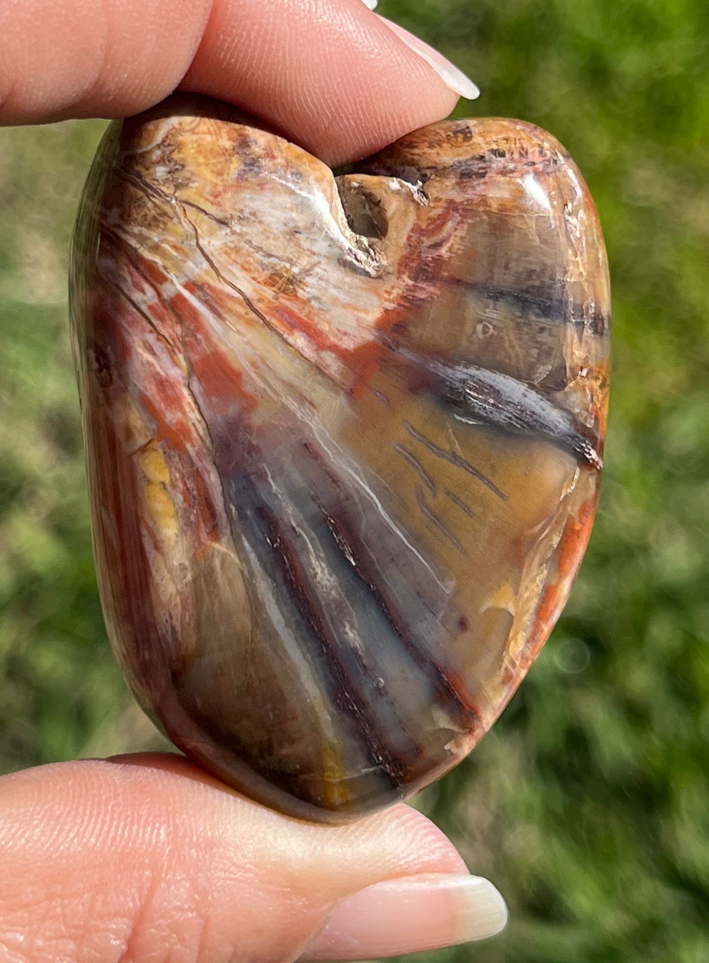 Petrified Wood Heart