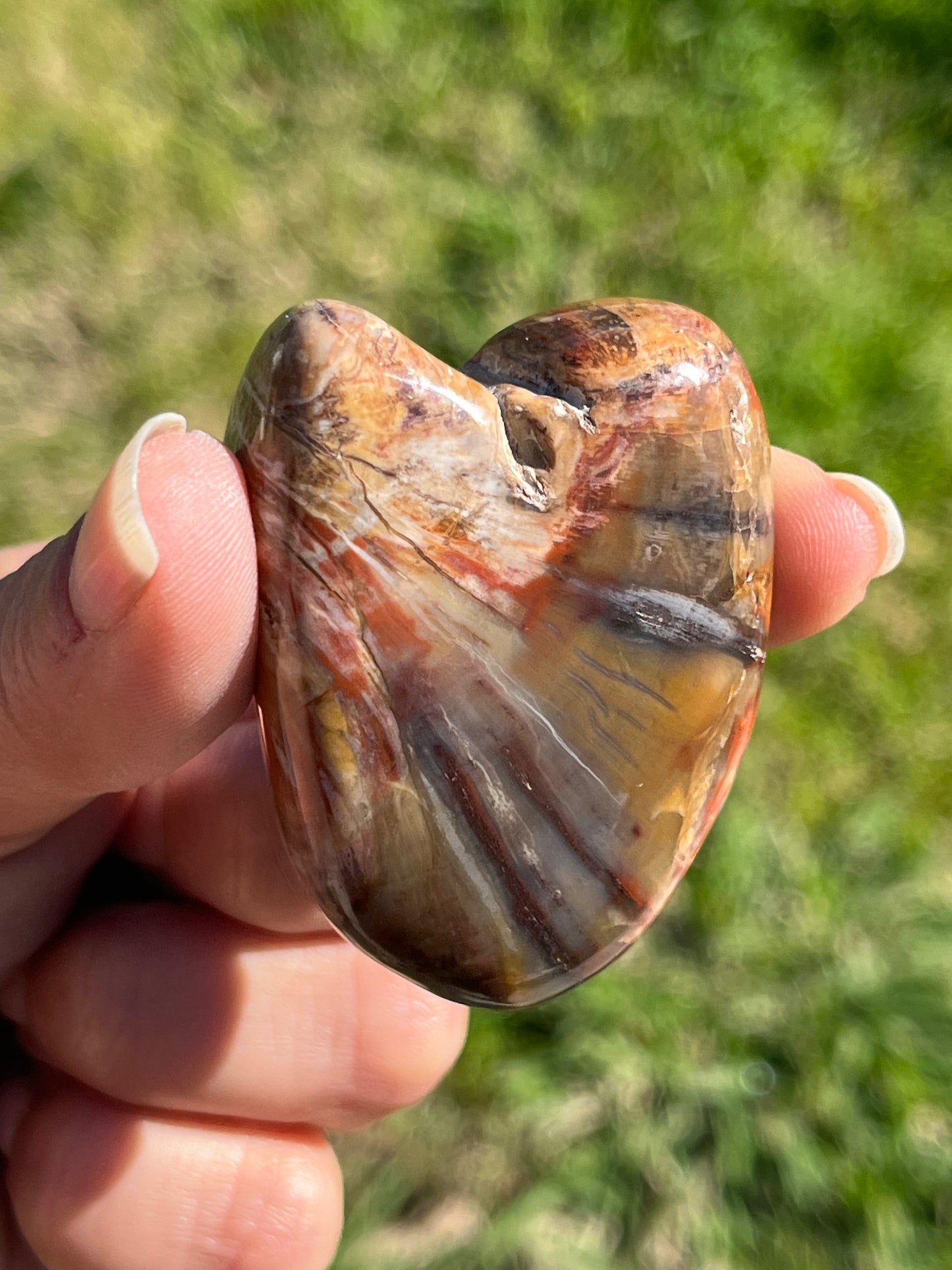 Petrified Wood Heart