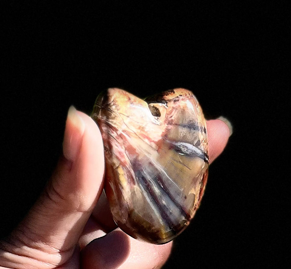 Petrified Wood Heart
