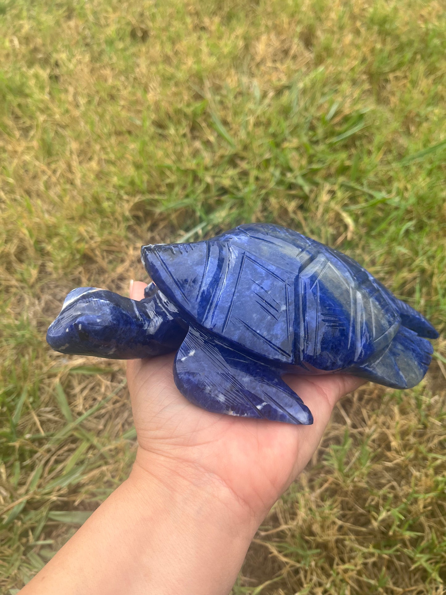 Sodalite Turtle XXL