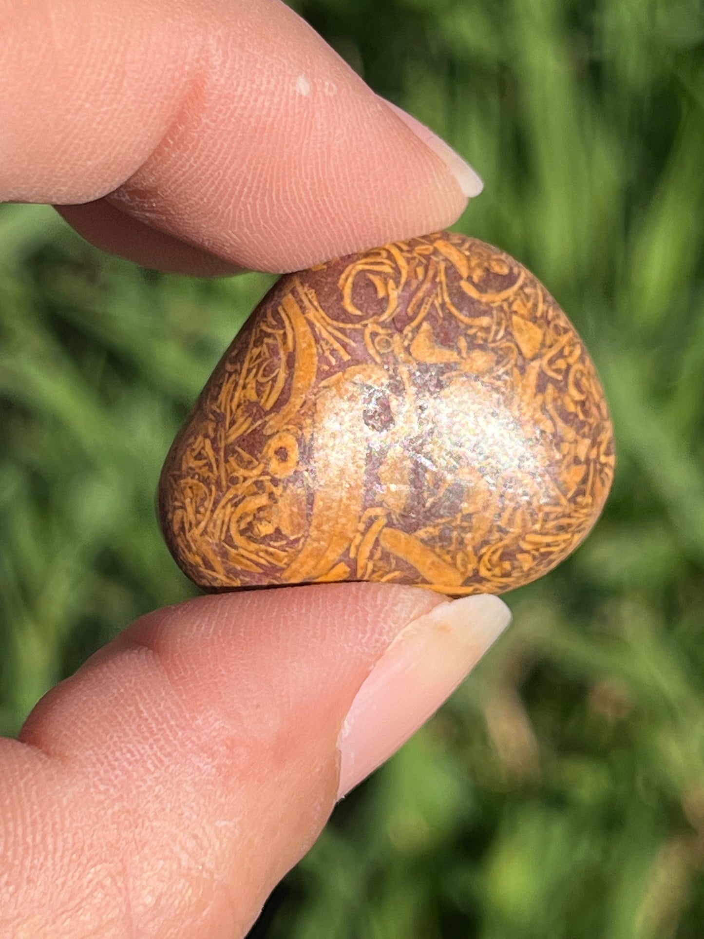 Caligraphy Jasper Tumbled Stone