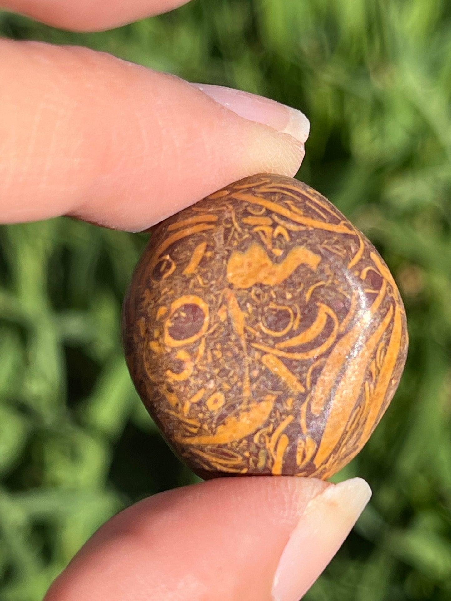 Caligraphy Jasper Tumbled Stone