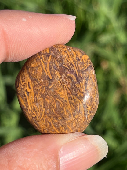 Caligraphy Jasper Tumbled Stone