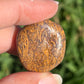 Caligraphy Jasper Tumbled Stone