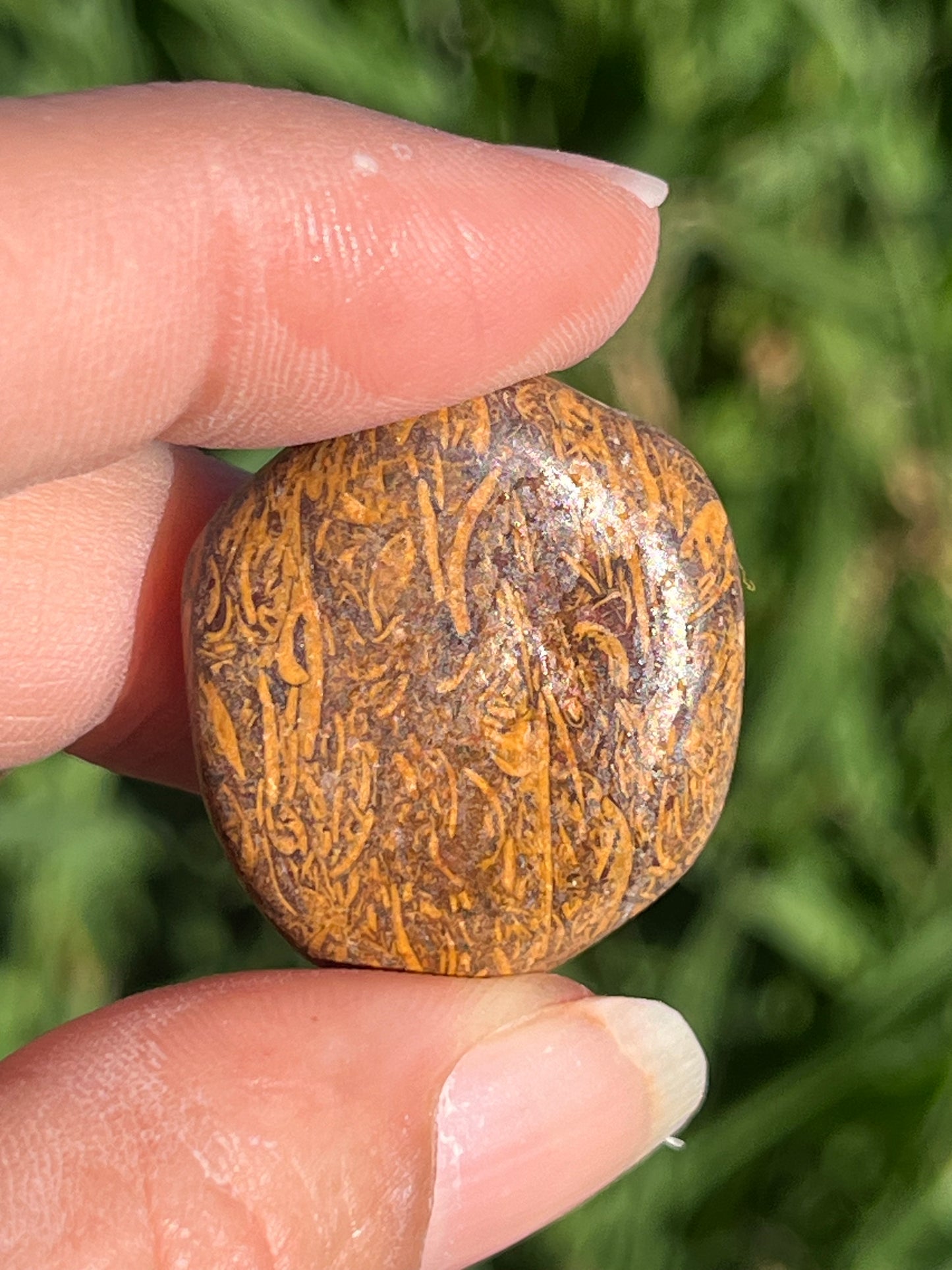 Caligraphy Jasper Tumbled Stone