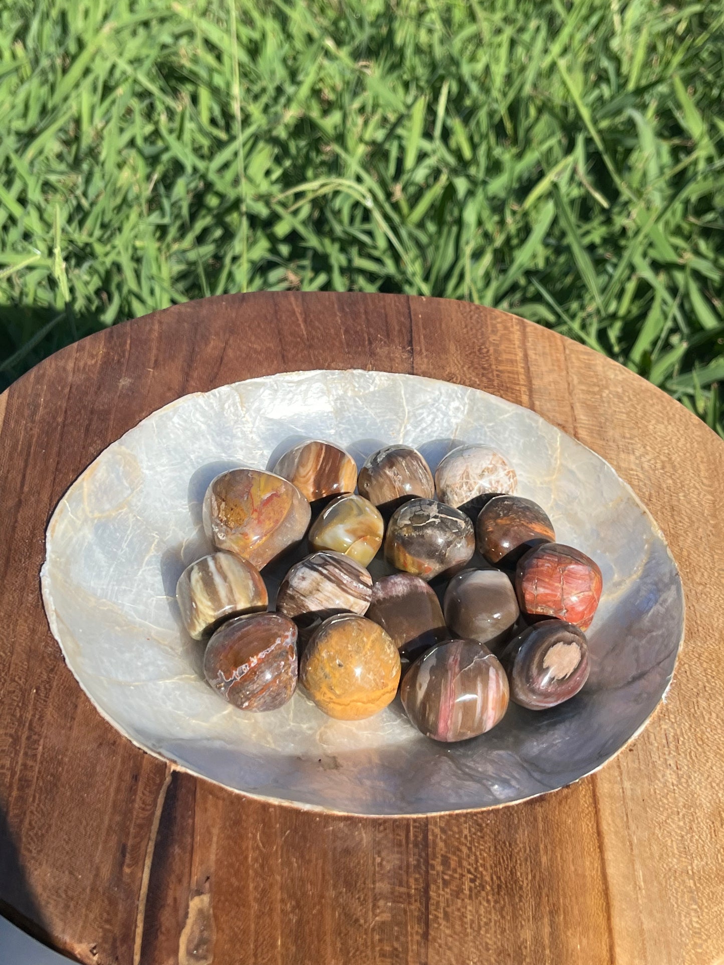 Petrified Wood Tumbles