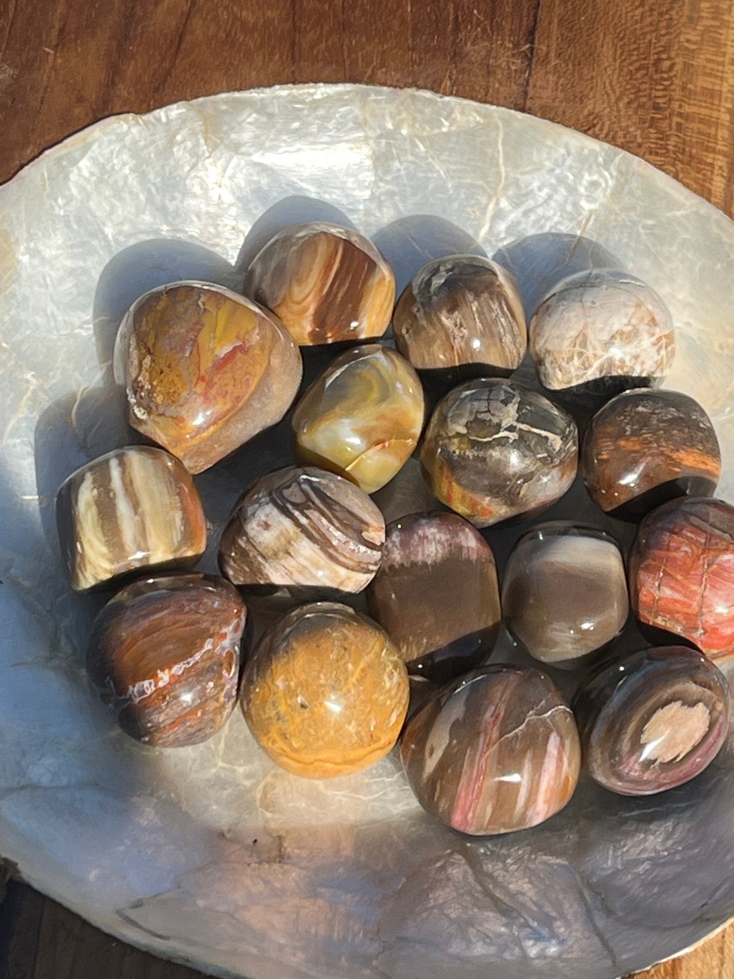 Petrified Wood Tumbles