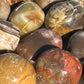 Petrified Wood Tumbles