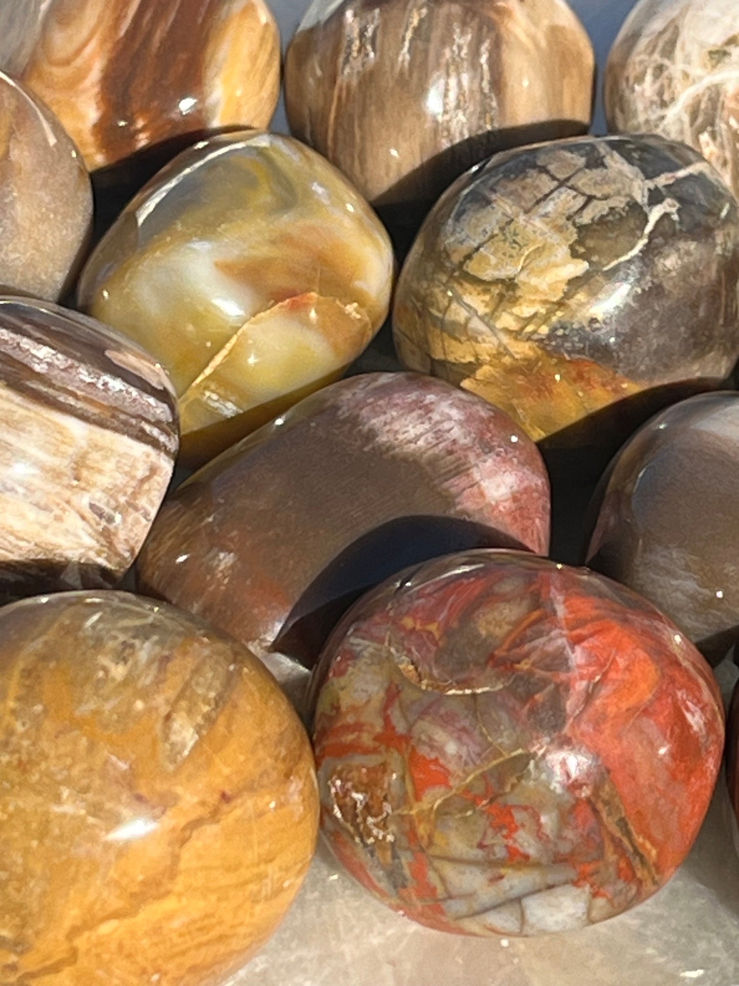 Petrified Wood Tumbles