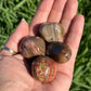 Petrified Wood Tumbles