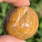 Petrified Wood Tumbles