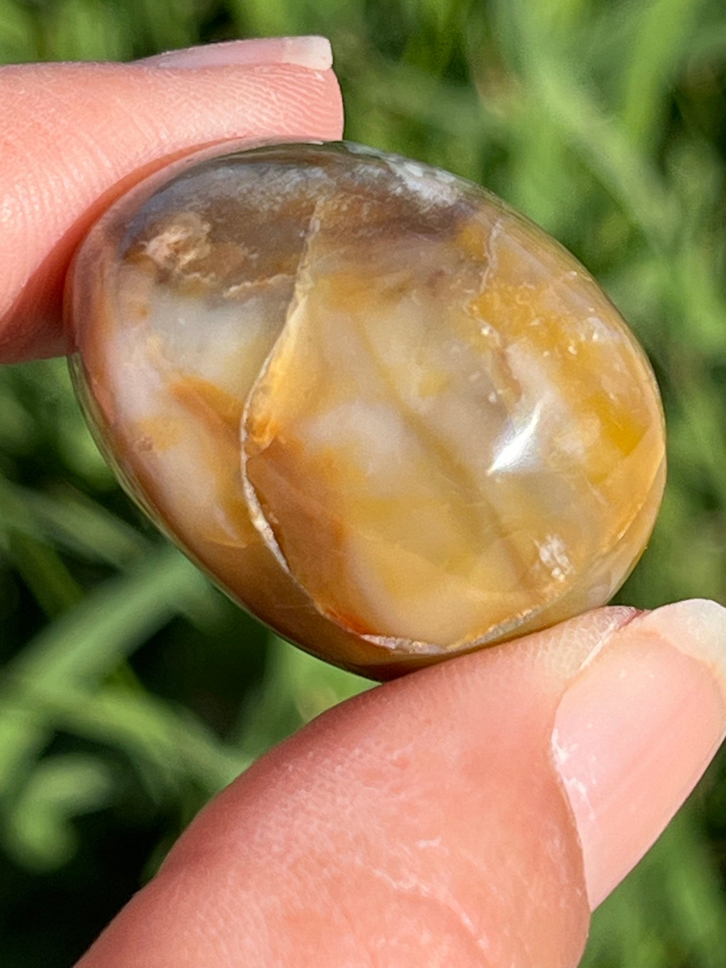 Petrified Wood Tumbles