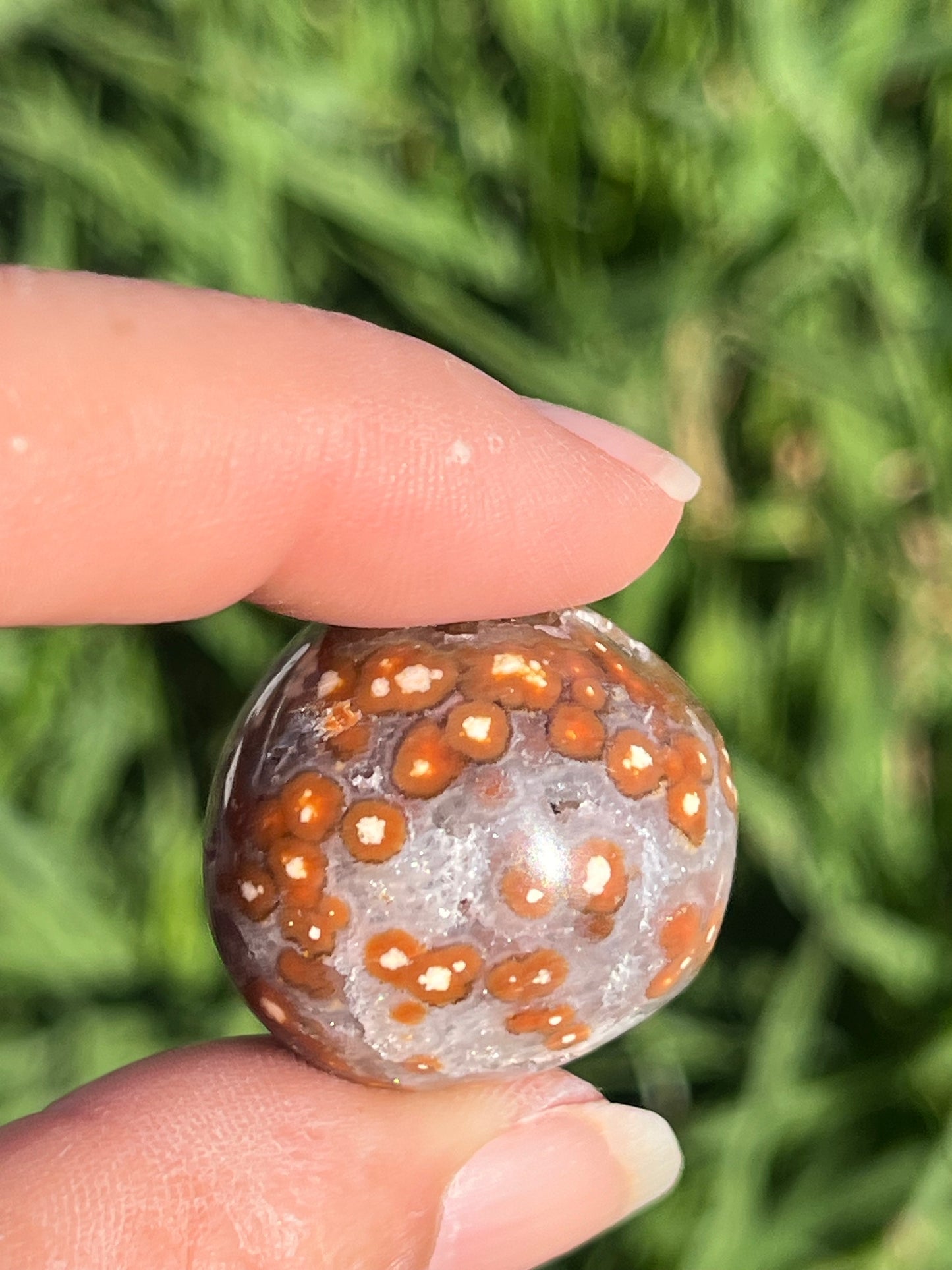 Ocean Jasper Tumbled Mini Spheres