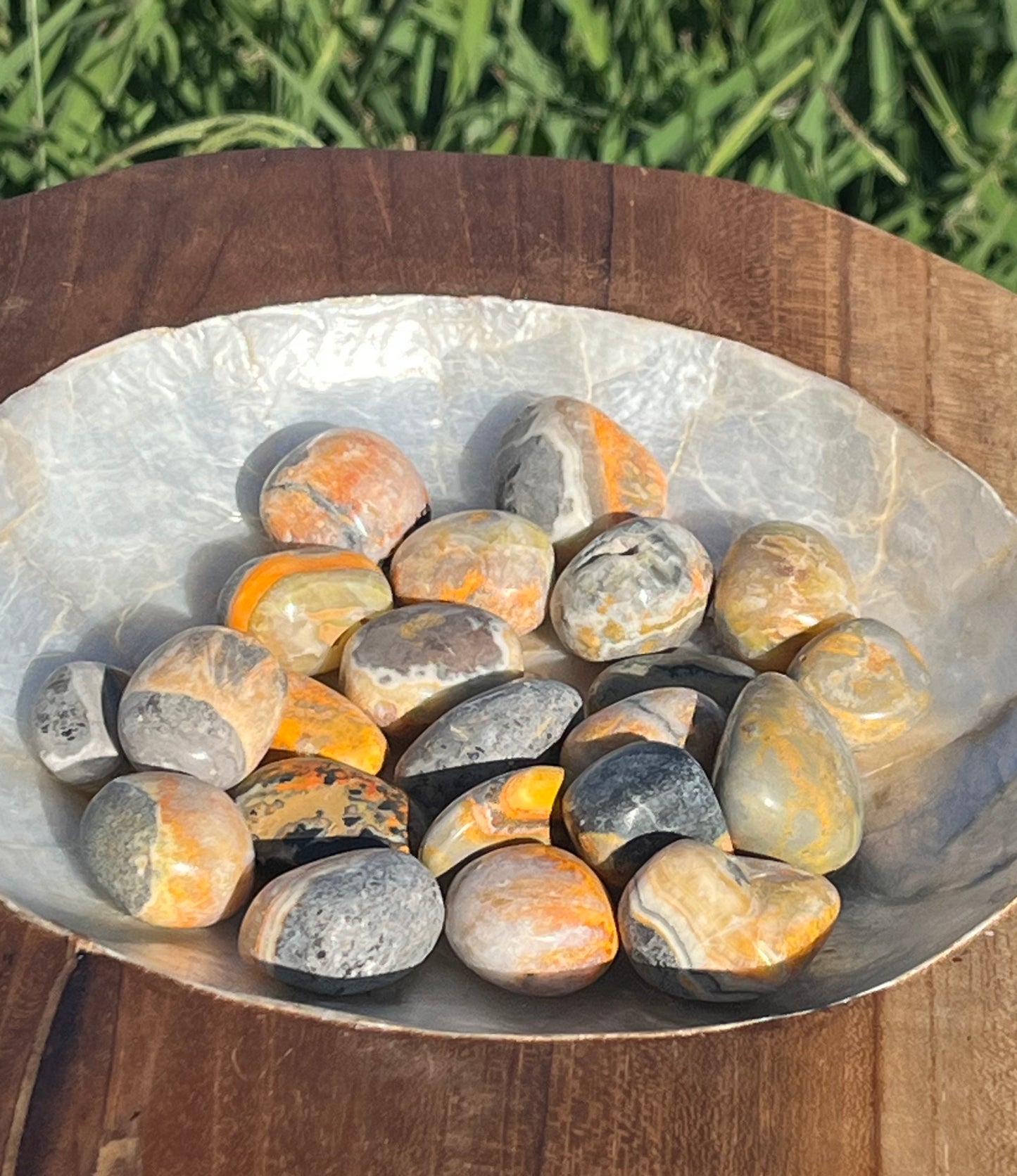 Bumble Bee Jasper Tumbles