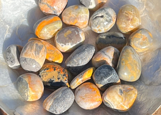 Bumble Bee Jasper Tumbles