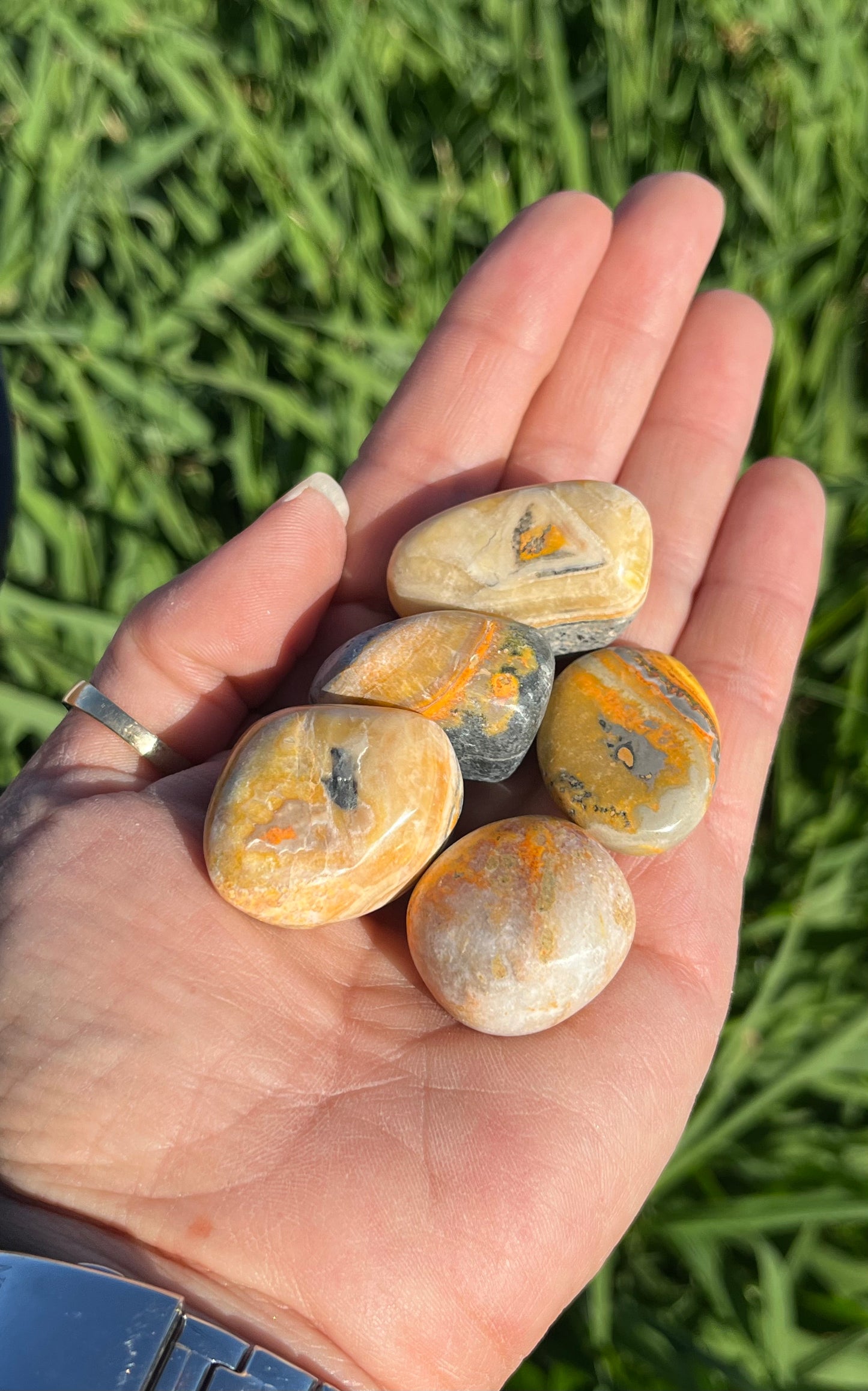 Bumble Bee Jasper Tumbles