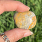 Bumble Bee Jasper Tumbles