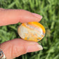 Bumble Bee Jasper Tumbles