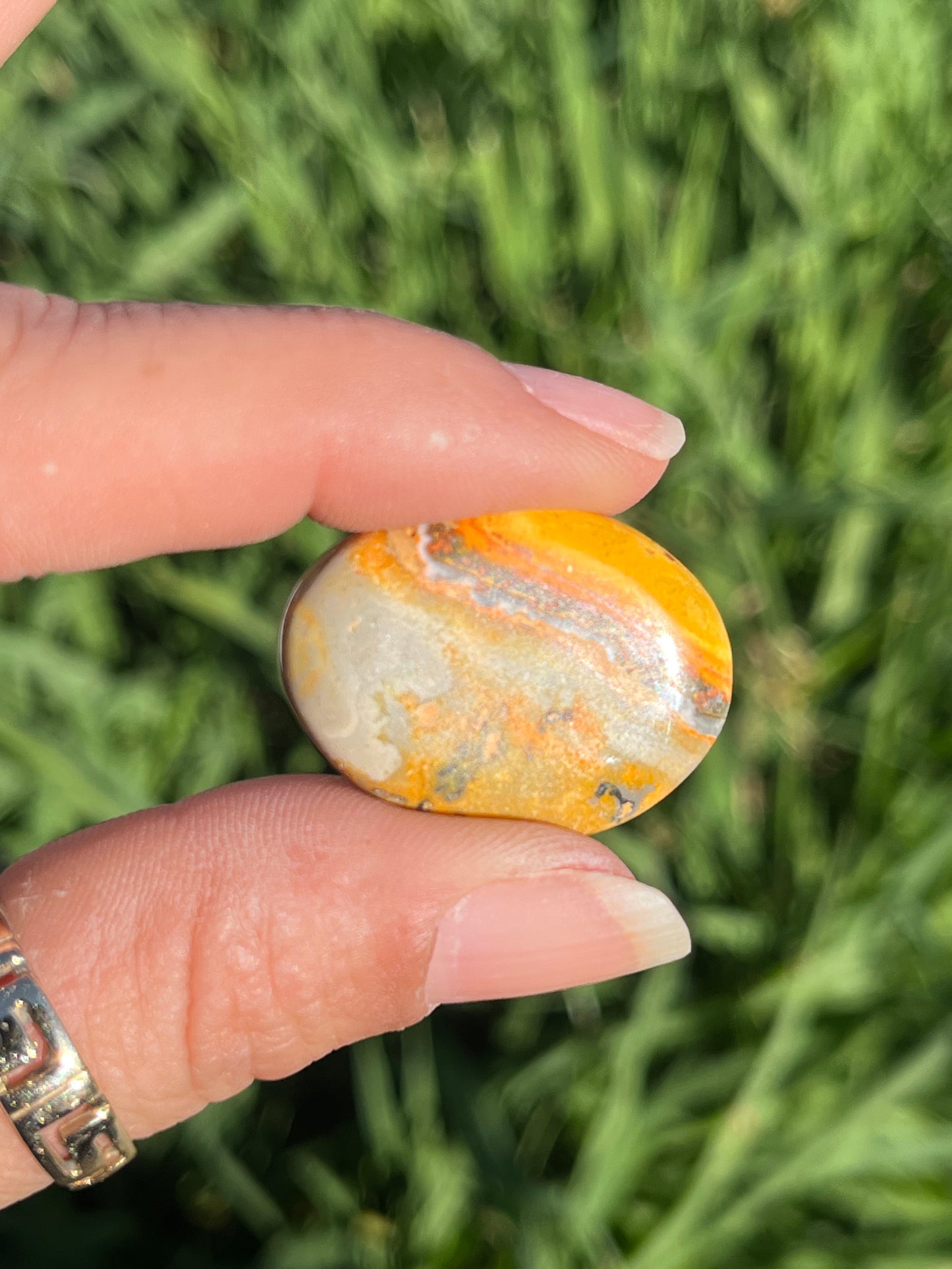 Bumble Bee Jasper Tumbles