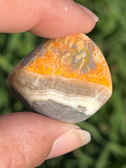 Bumble Bee Jasper Tumbles