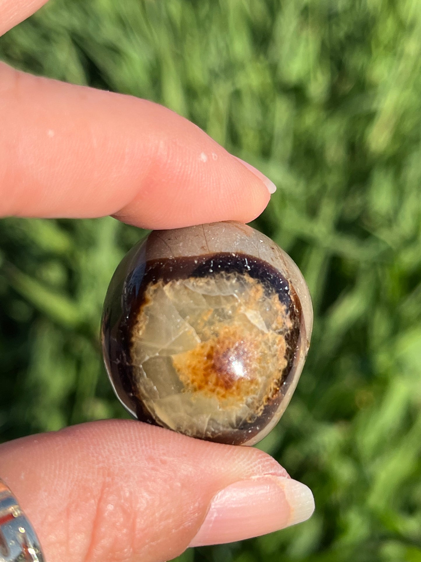 Septarian Tumbled Mini Spheres