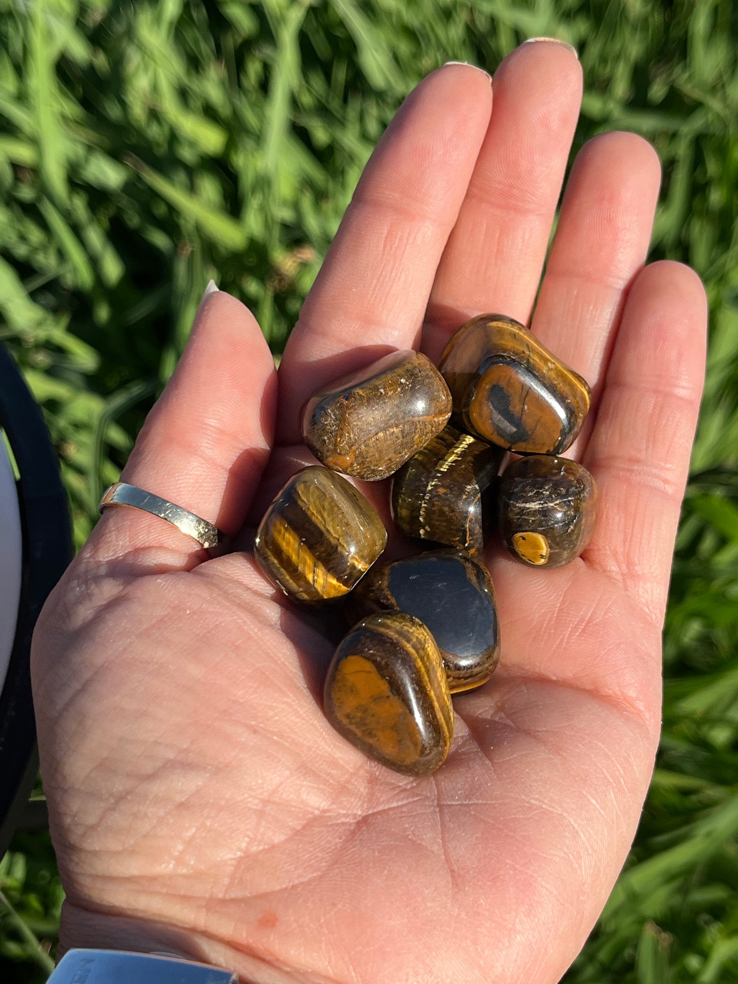 Tigers Eye Tumbles