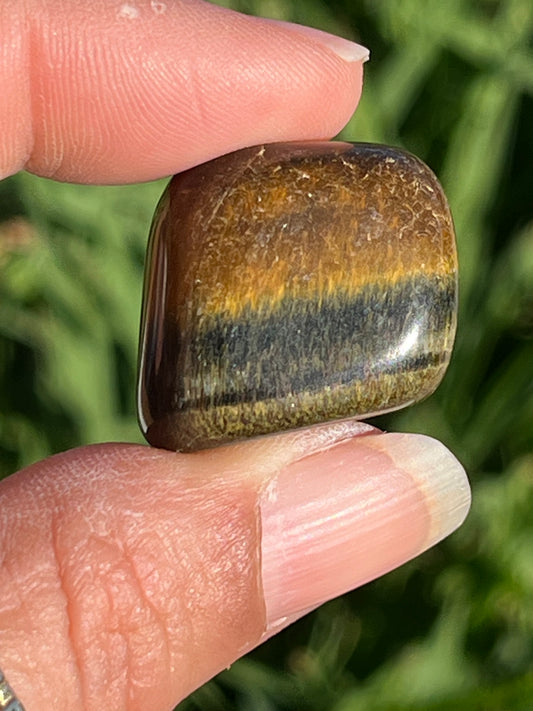 Tigers Eye Tumbles