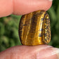 Tigers Eye Tumbles