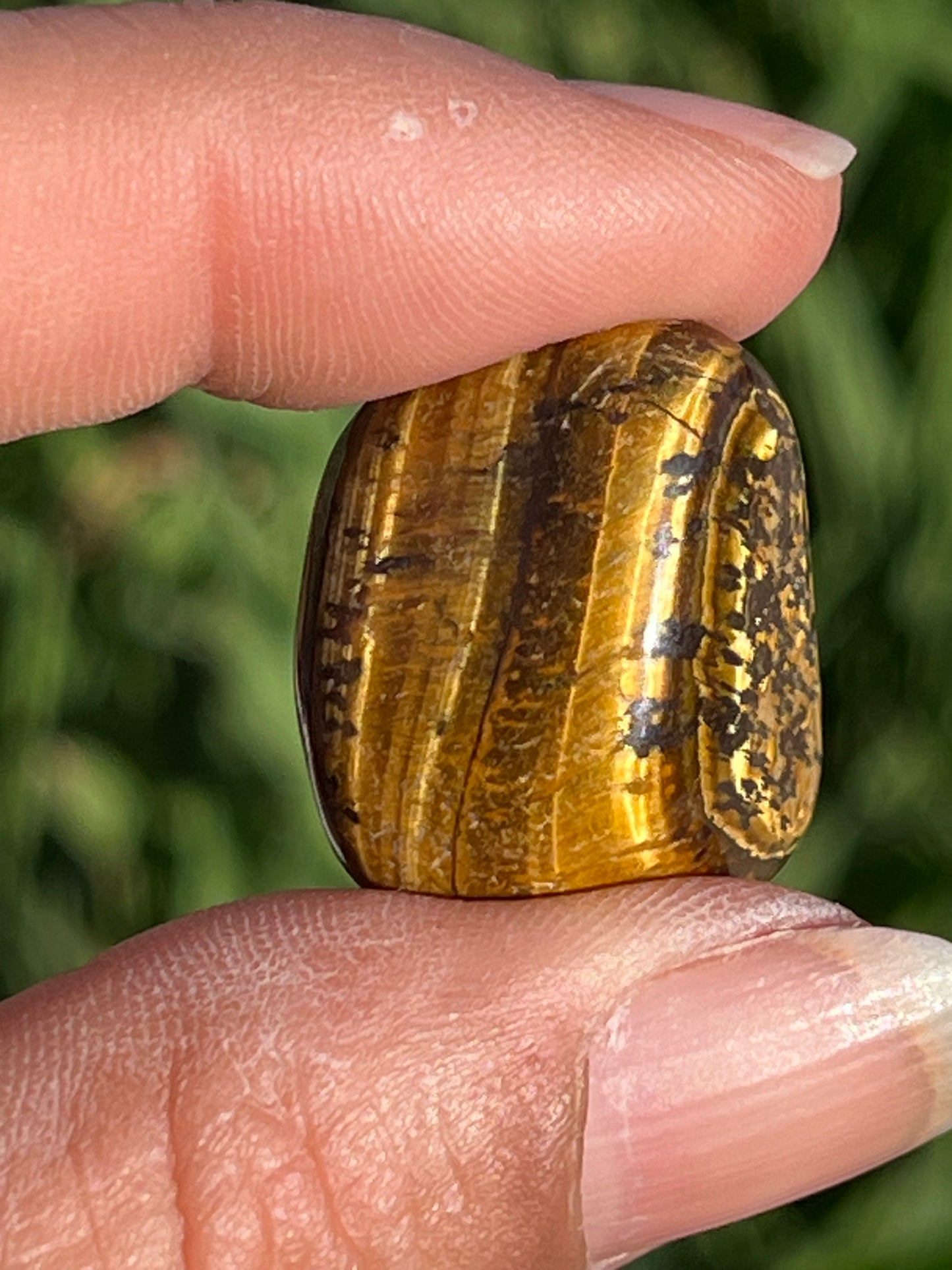 Tigers Eye Tumbles