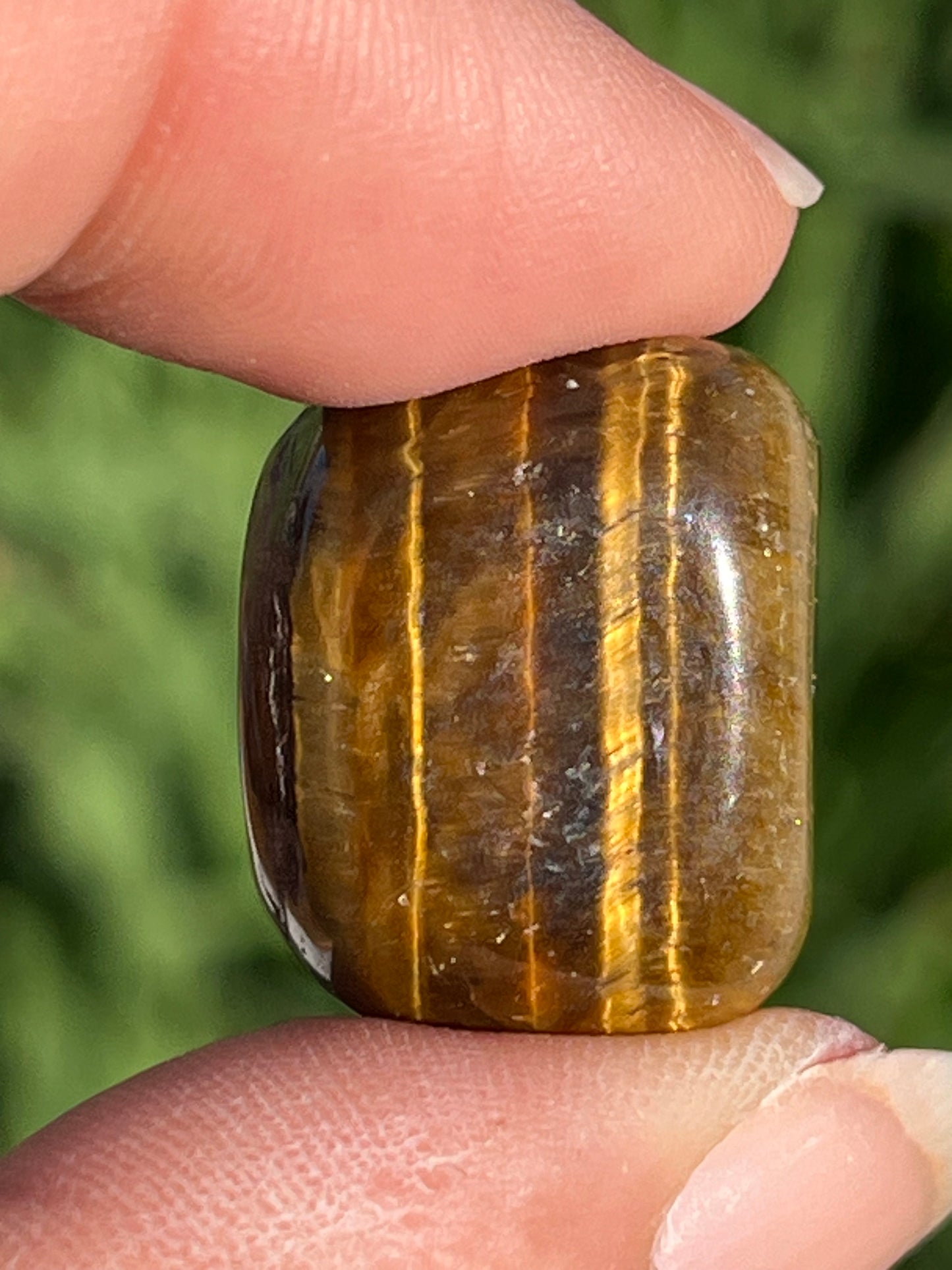 Tigers Eye Tumbles