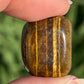 Tigers Eye Tumbles