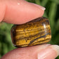 Tigers Eye Tumbles