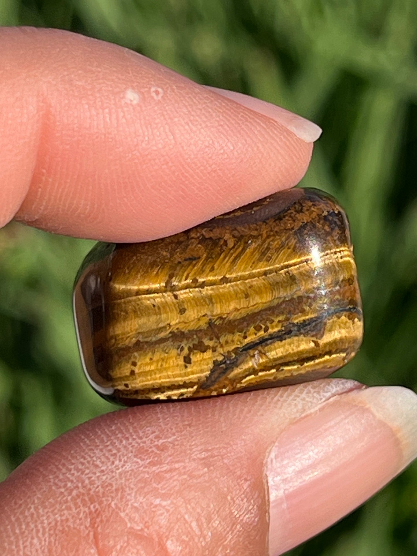 Tigers Eye Tumbles