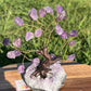 Bonsai Amethyst Trees on Amethyst Base