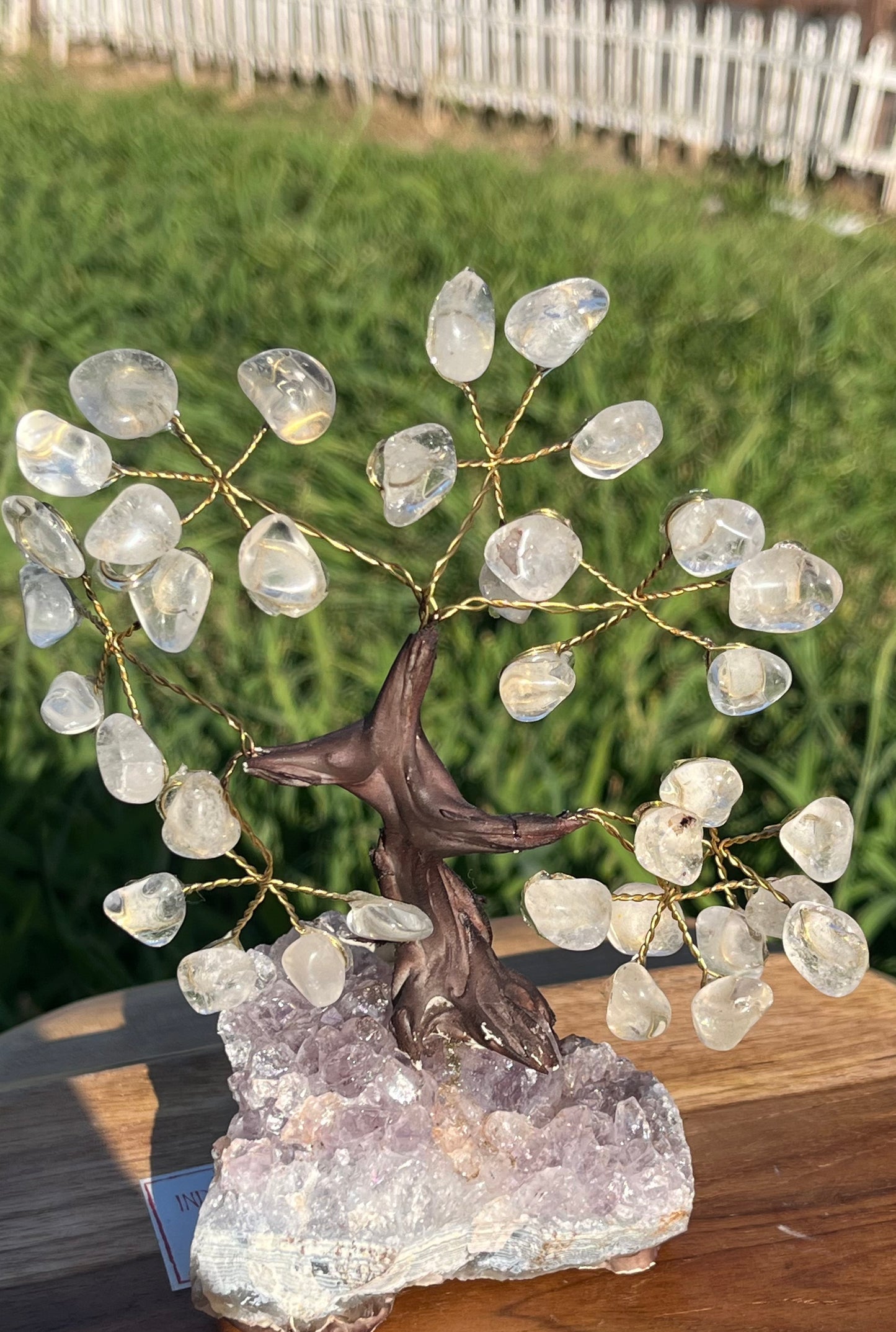 Bonsai Clear Quartz Trees on Amethyst Base