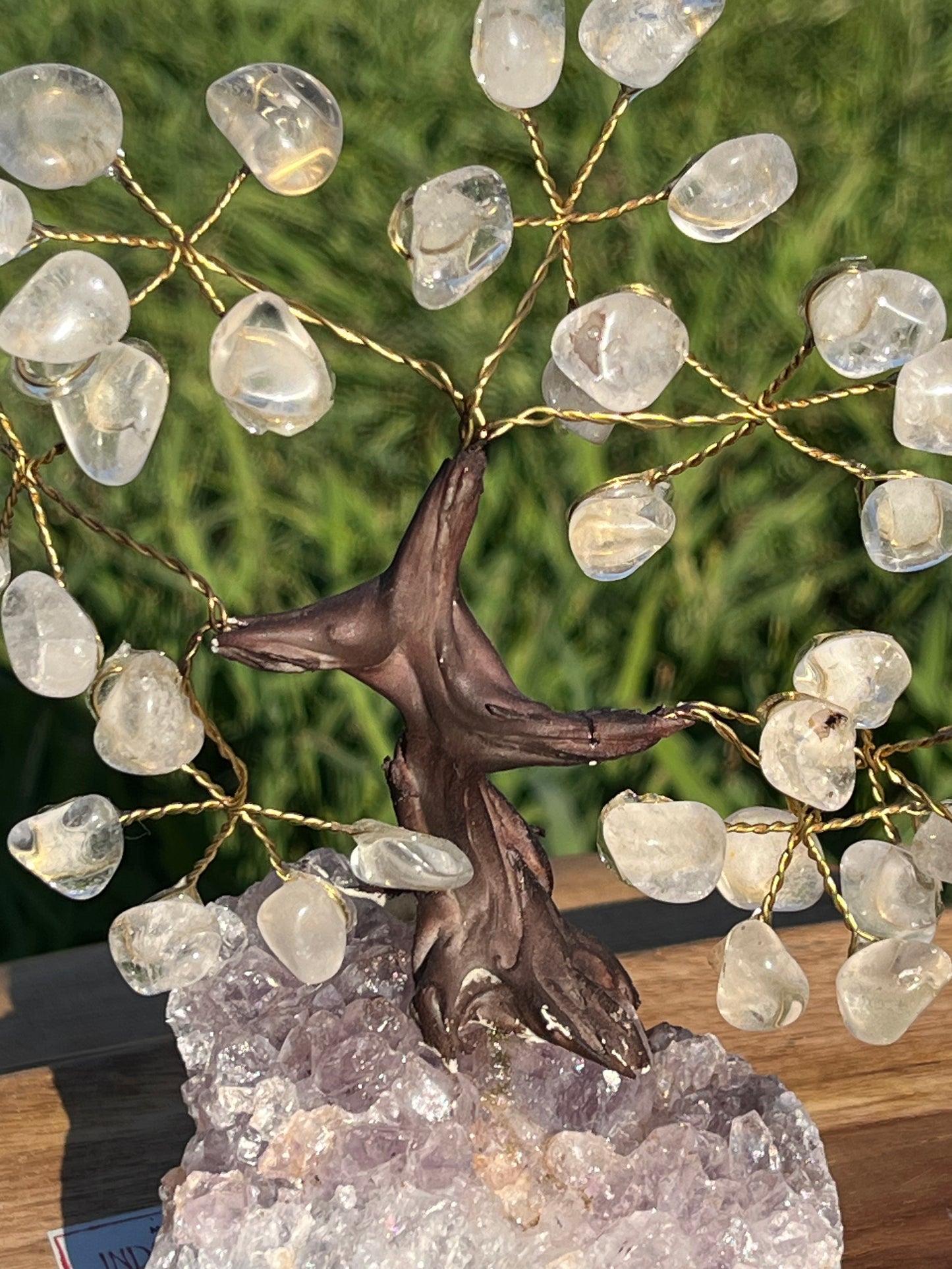 Bonsai Clear Quartz Trees on Amethyst Base