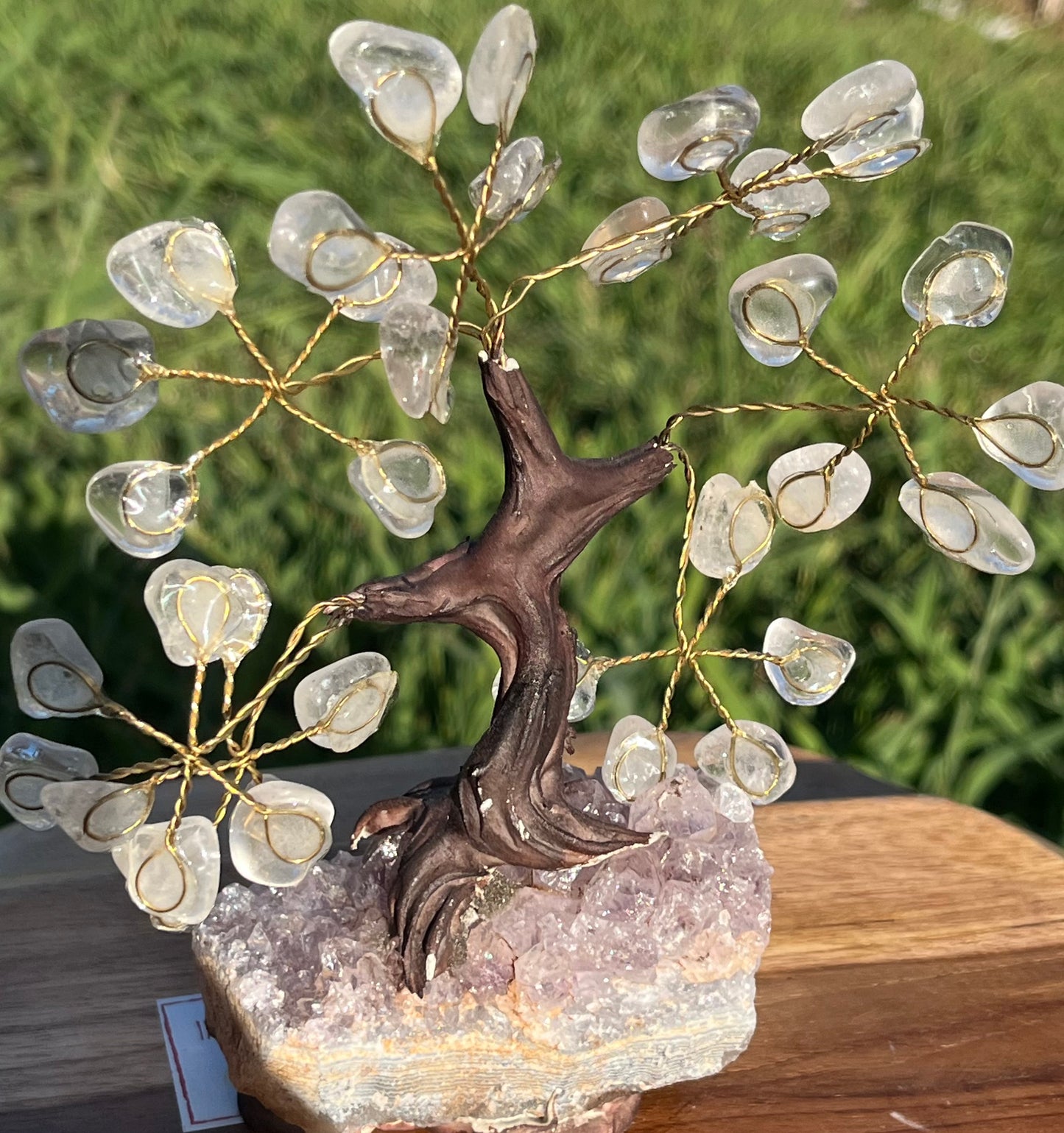 Bonsai Clear Quartz Trees on Amethyst Base