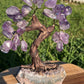 Bonsai Amethyst Trees on Amethyst Base