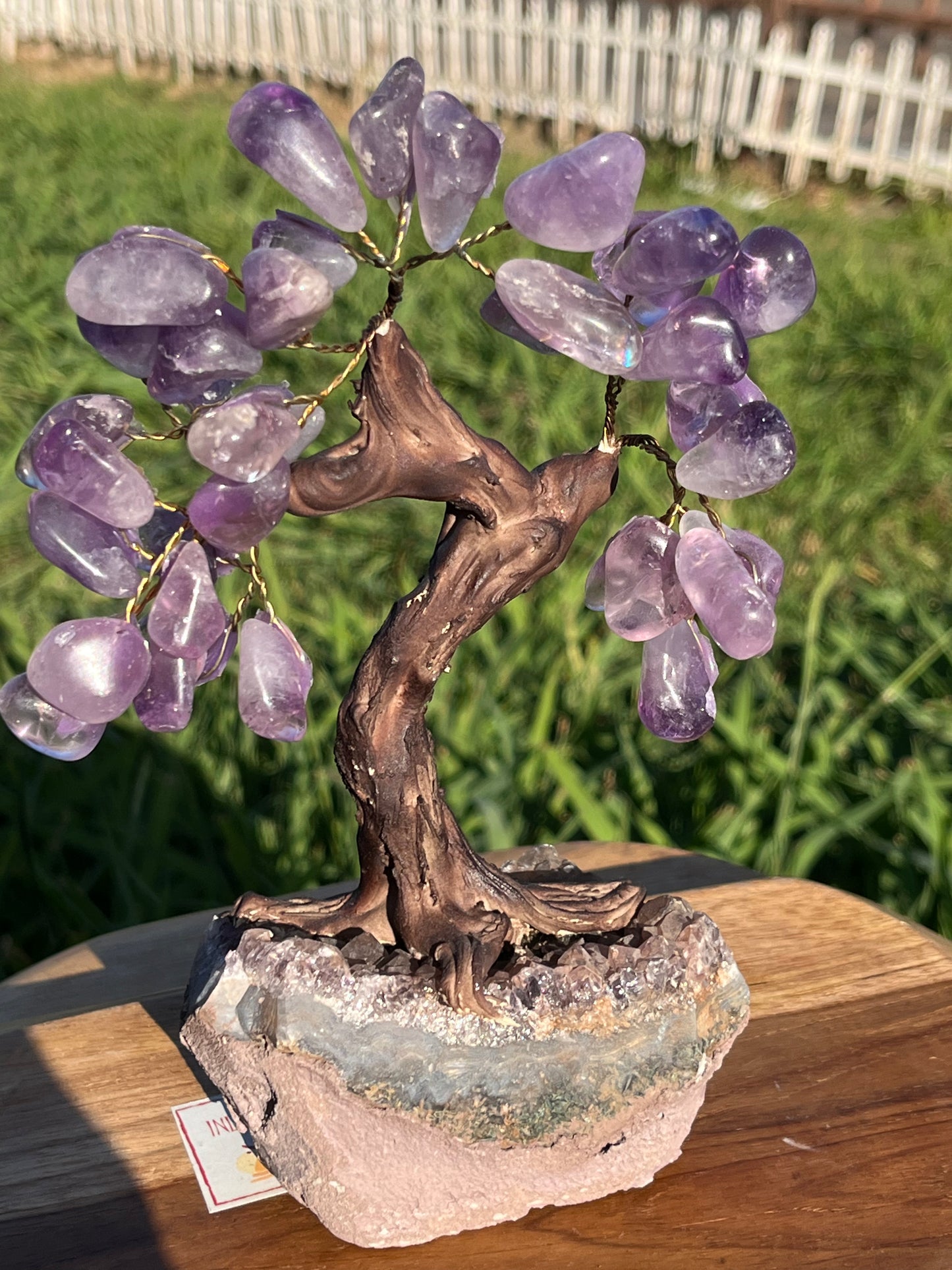 Bonsai Amethyst Trees on Amethyst Base