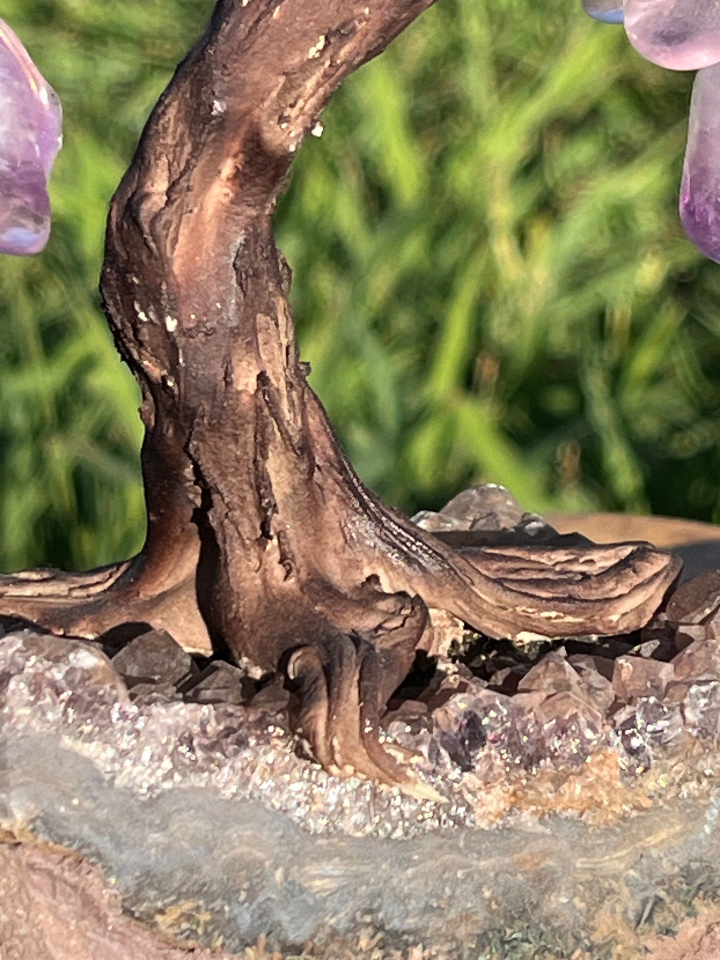 Bonsai Amethyst Trees on Amethyst Base