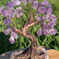 Bonsai Amethyst Trees on Amethyst Base