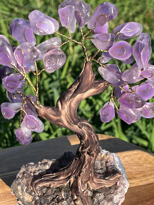 Bonsai Amethyst Trees on Amethyst Base