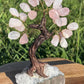 Bonsai Rose Quartz Trees on Amethyst base