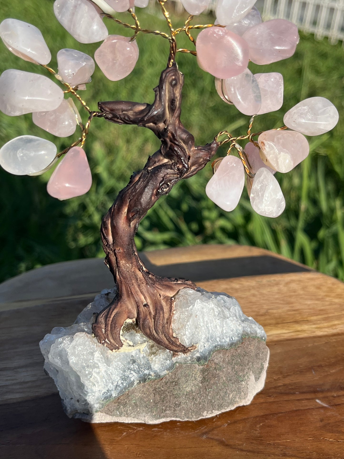 Bonsai Rose Quartz Trees on Amethyst base