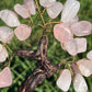 Bonsai Rose Quartz Trees on Amethyst base