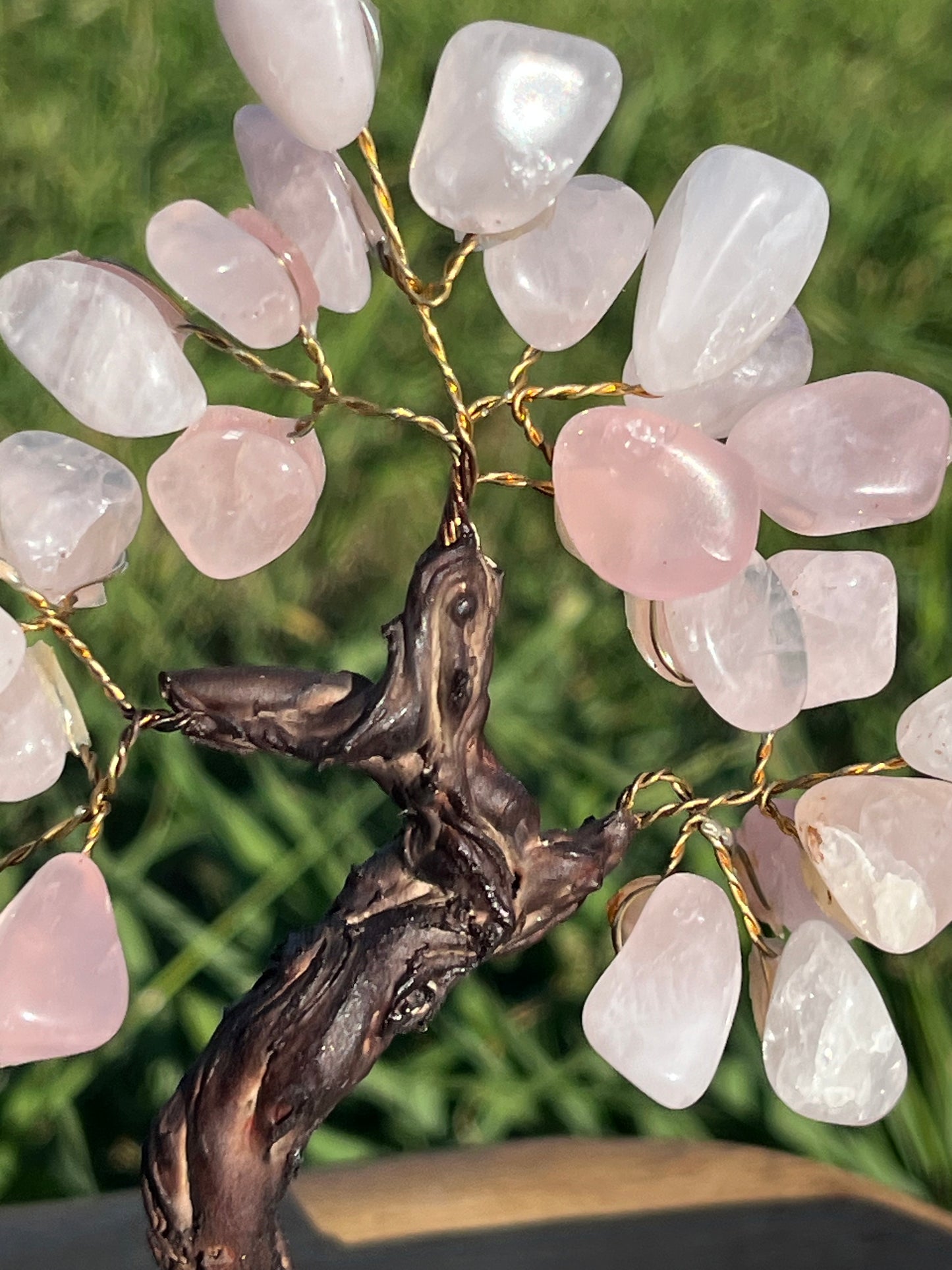 Bonsai Rose Quartz Trees on Amethyst base